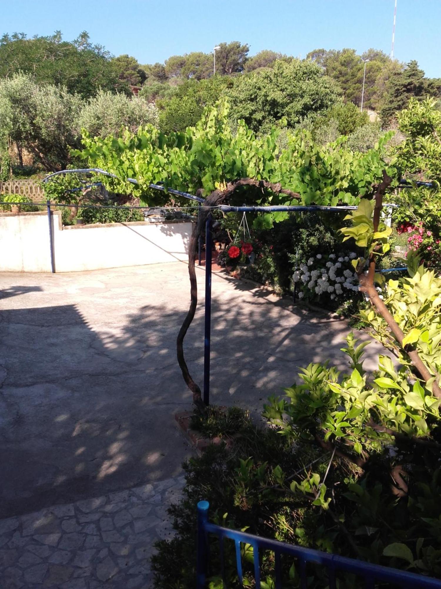 Jolanda Apartment Mali Losinj Exterior photo